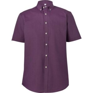 Disley Carrick Short Sleeve Tailored Fit Shirt