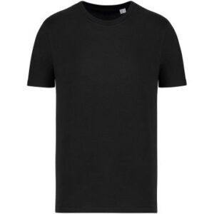 Native Spirit Unisex T-Shirt
