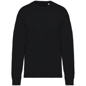 Native Spirit Unisex Oversized Sweatshirt