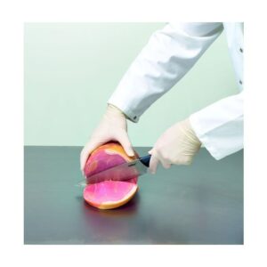 KeepCLEAN Glove Disposable Latex Powder Free Box 100 304671