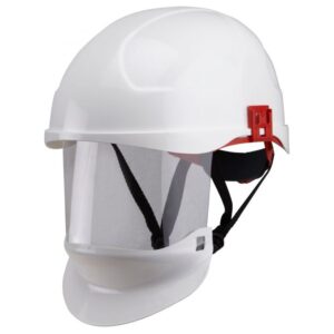Progarm Safety Helmet