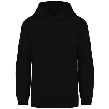 Native Spirit Kids Hooded Sweatshirt